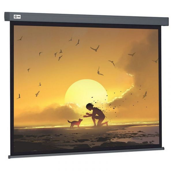 Экран для проектора Cactus Wallscreen CS-PSW-124X221-SG настенно-потолочный