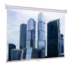 Экран настенный Lumien Eco Picture 180х180 см Matte White (LEP-100102)